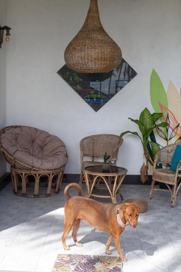 Marshmallow Homestay Ahangama Exterior photo