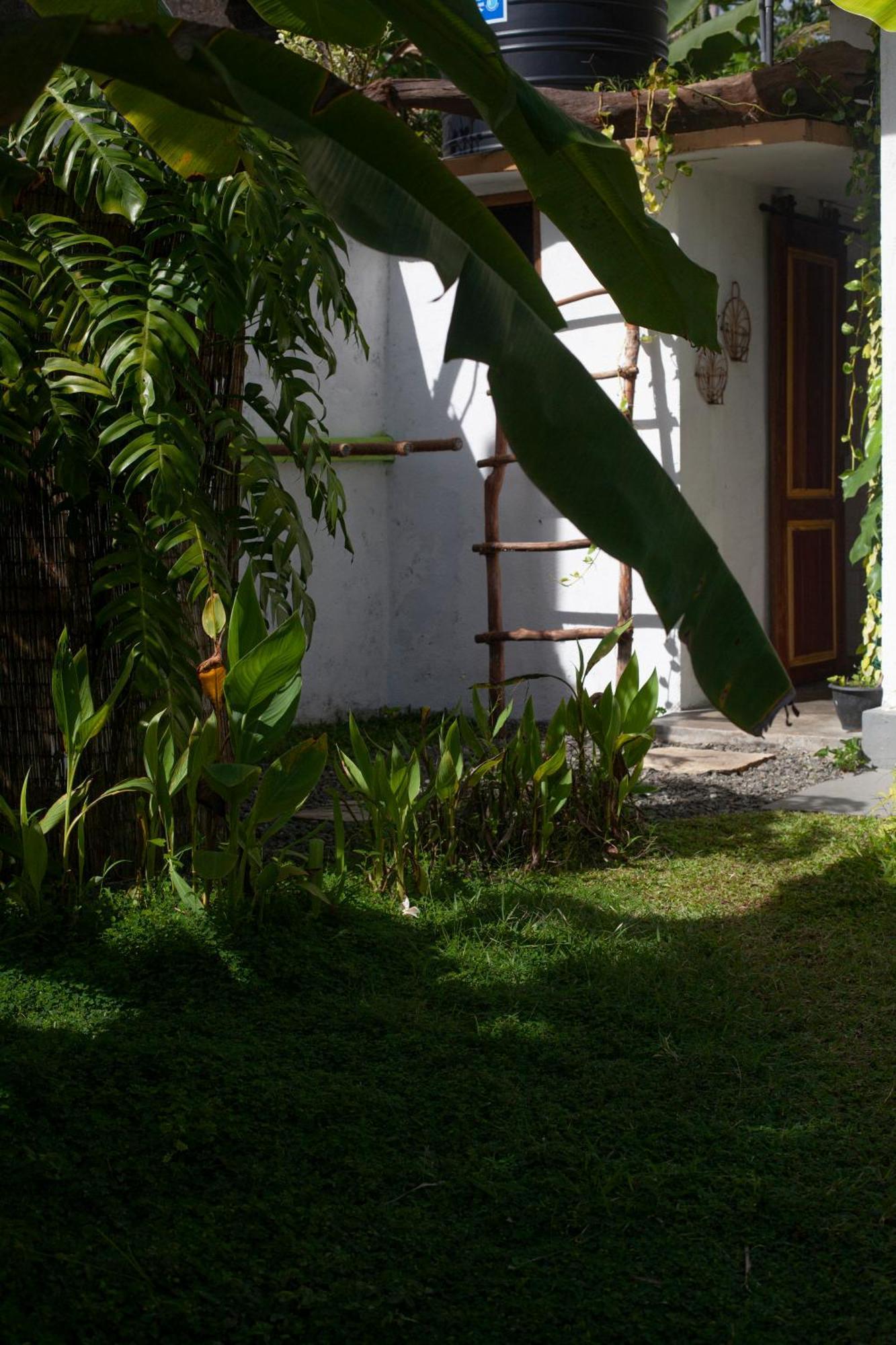 Marshmallow Homestay Ahangama Exterior photo